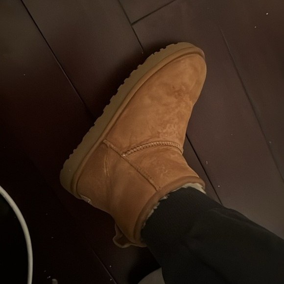 Mini Uggs - Picture 6 of 6